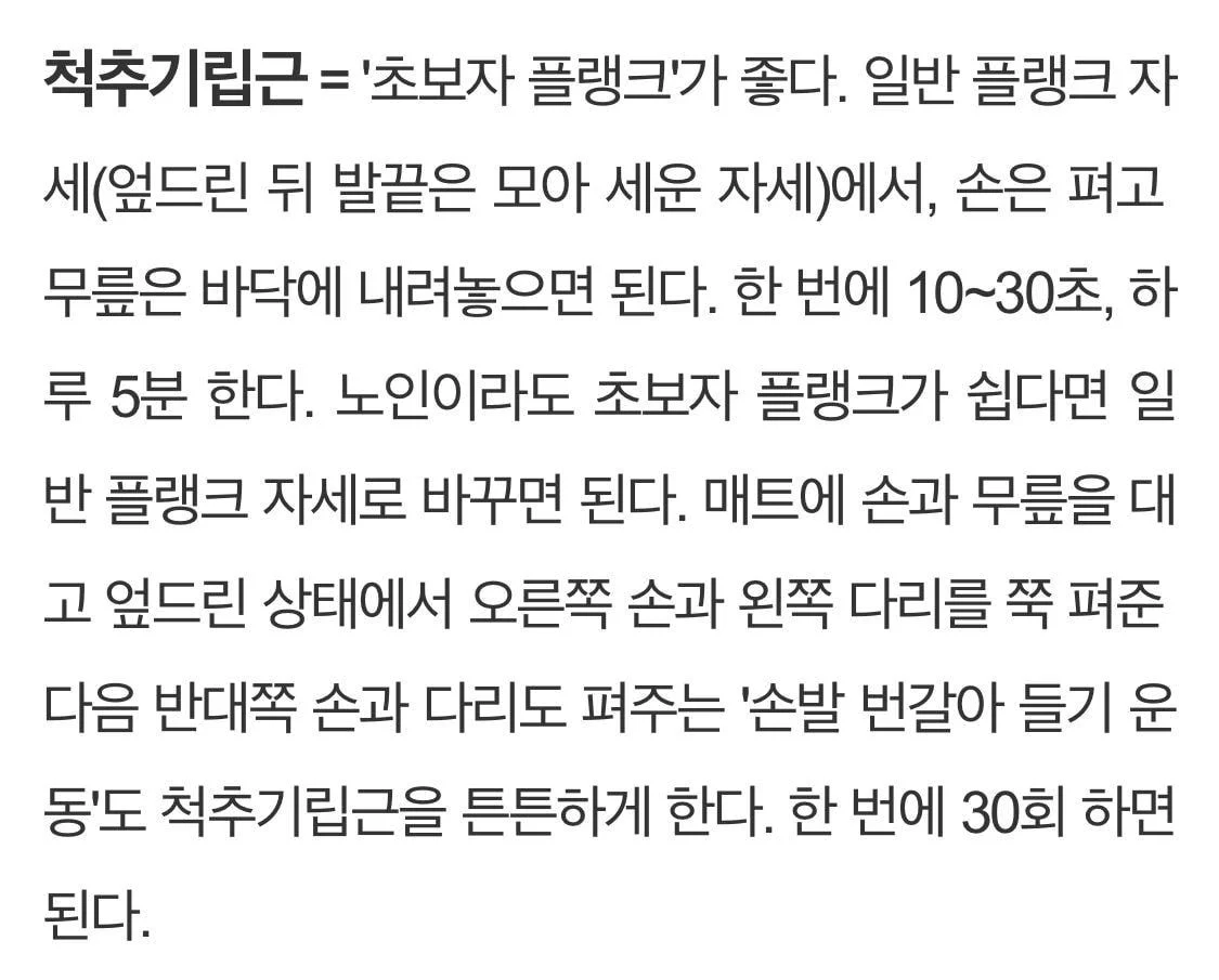 허리 꼿꼿한 노인이 되려면 꼭 지켜야 한다는 근육 세 개