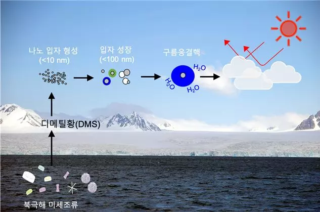 지구는 스스로 살려고 노력중