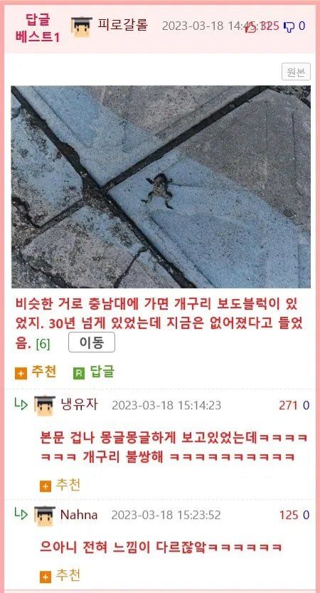 부산대 이스터에그 발견