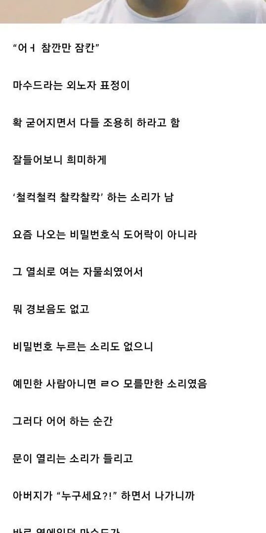 중동 외노자들 덕에 도둑 잡은 썰