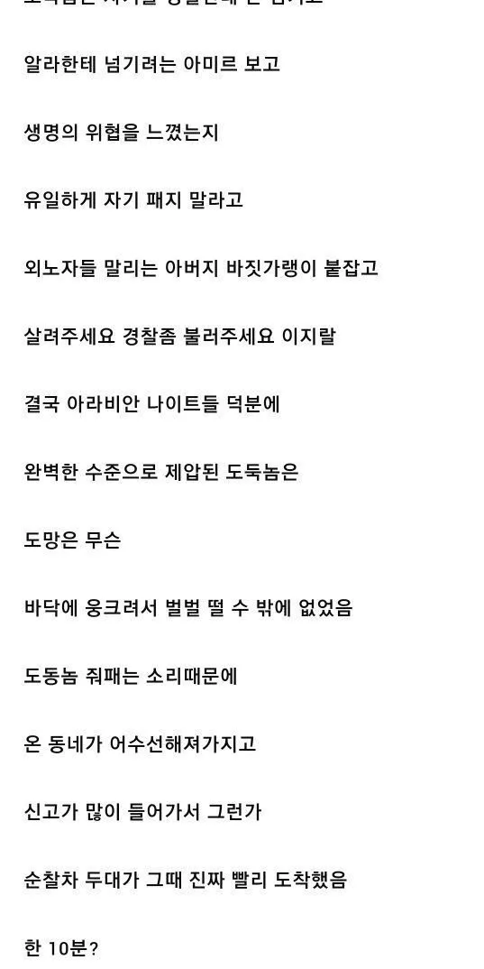 중동 외노자들 덕에 도둑 잡은 썰