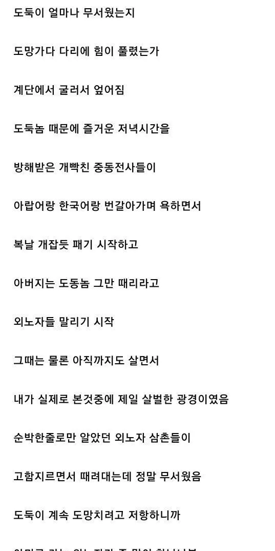 중동 외노자들 덕에 도둑 잡은 썰