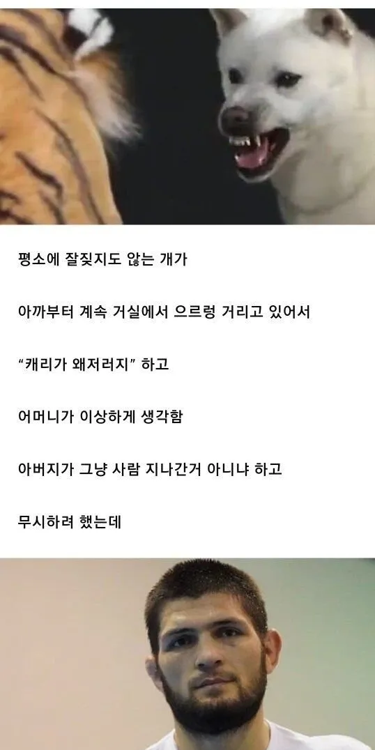 중동 외노자들 덕에 도둑 잡은 썰