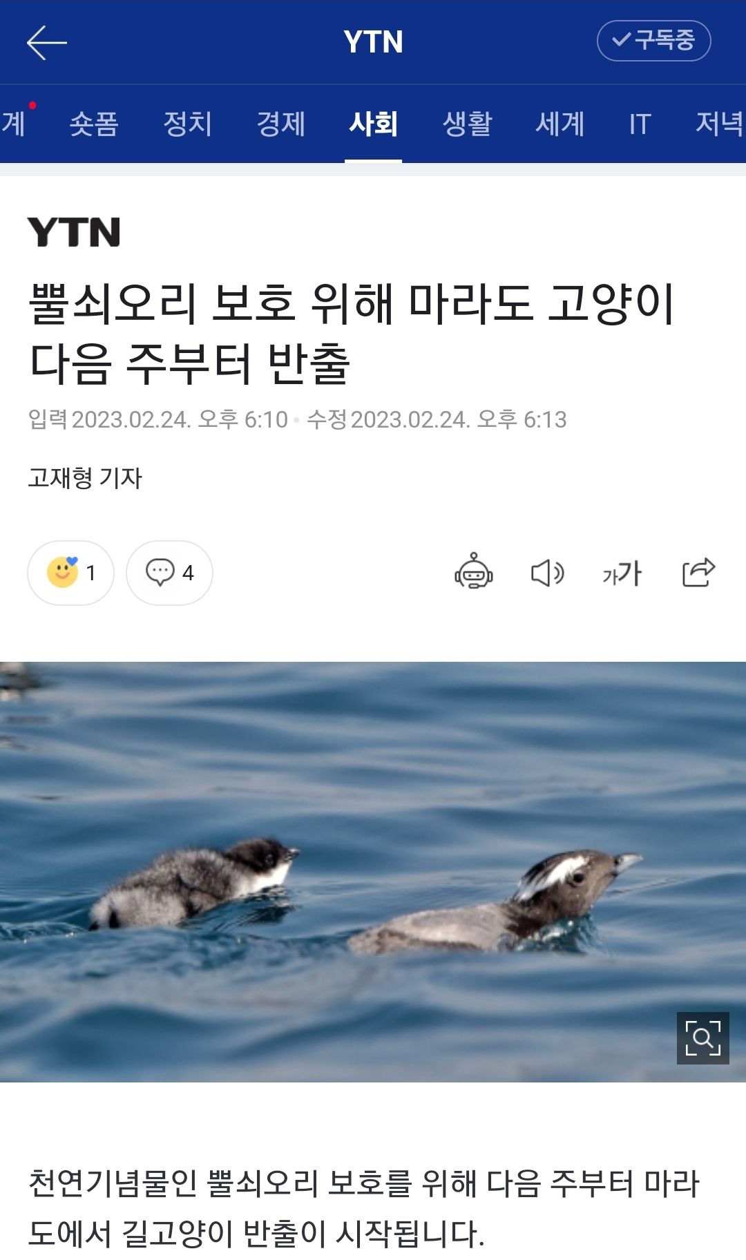 마라도 길고양이 퇴출