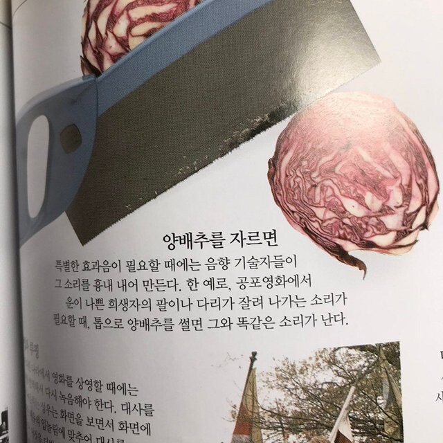 음향 감독과 양배추.