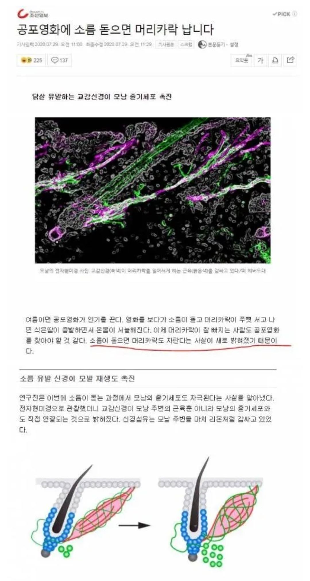 공포영화에 소름 돋으면 머리카락 납니다