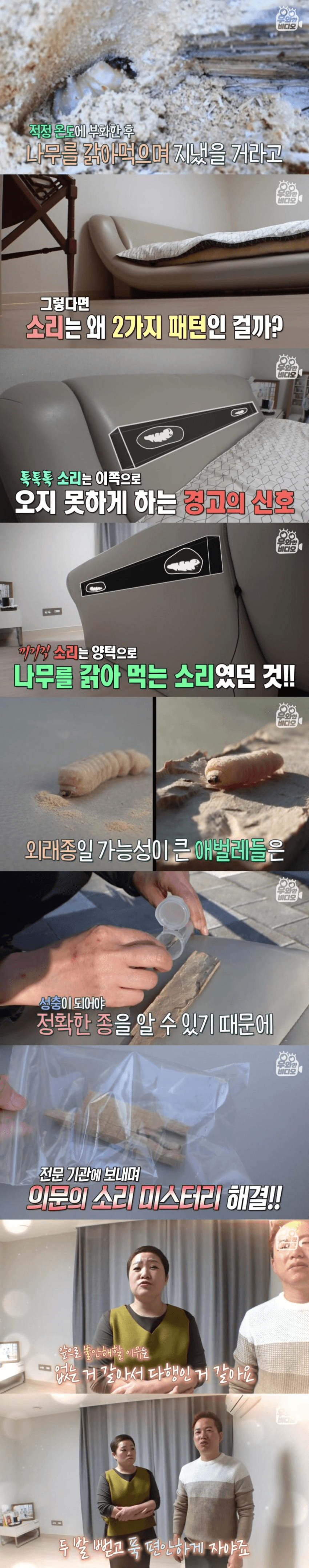 이상한 소리가 나는 침대