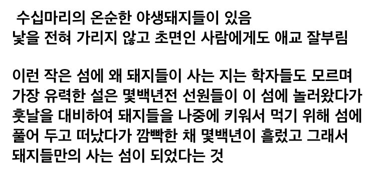 ㅇㅎ 한번쯤 가보고 싶은 바하마 돼지섬.