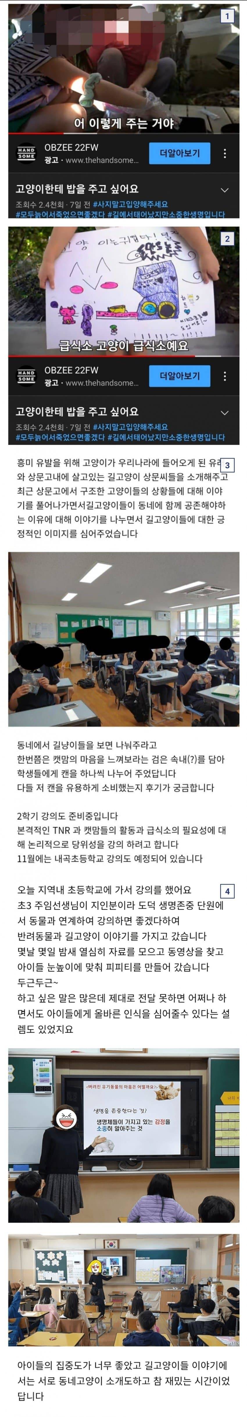 캣맘들 근황