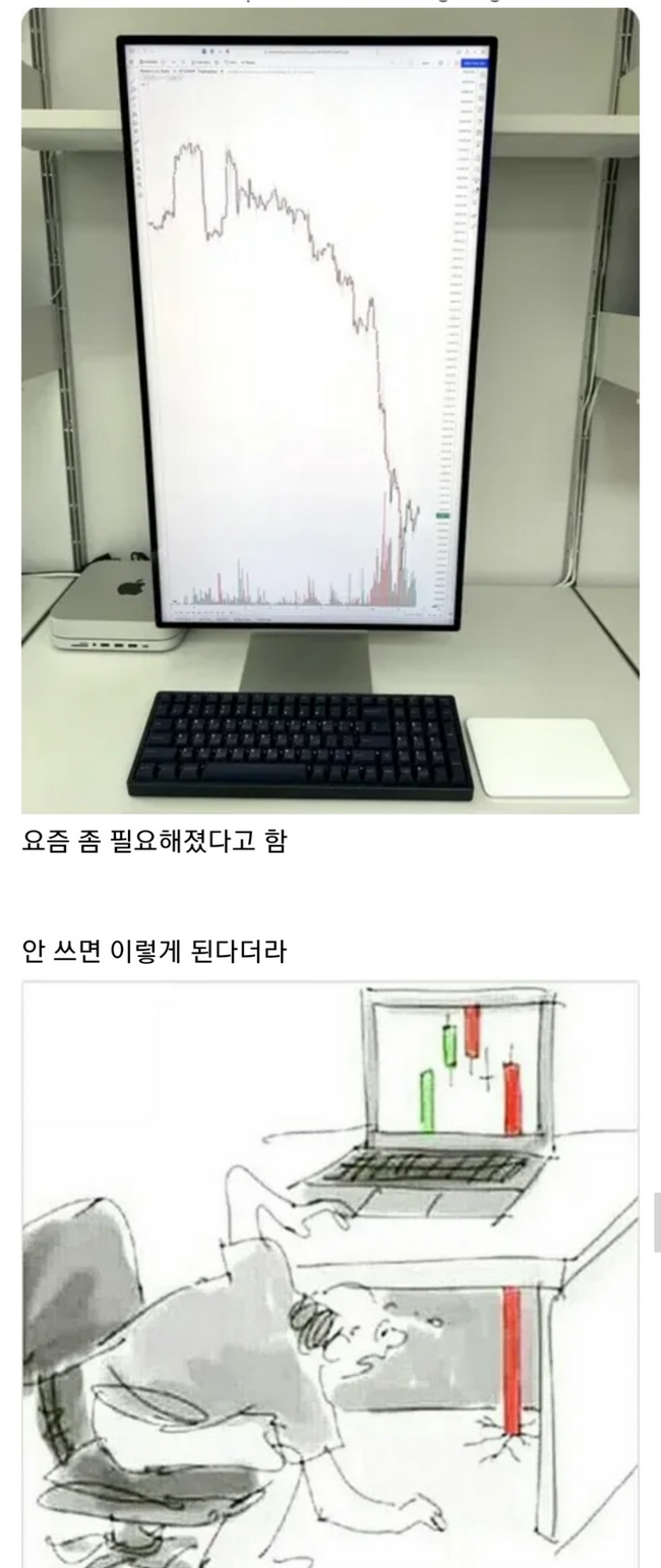 세로로된 모니터가 필요한 이유