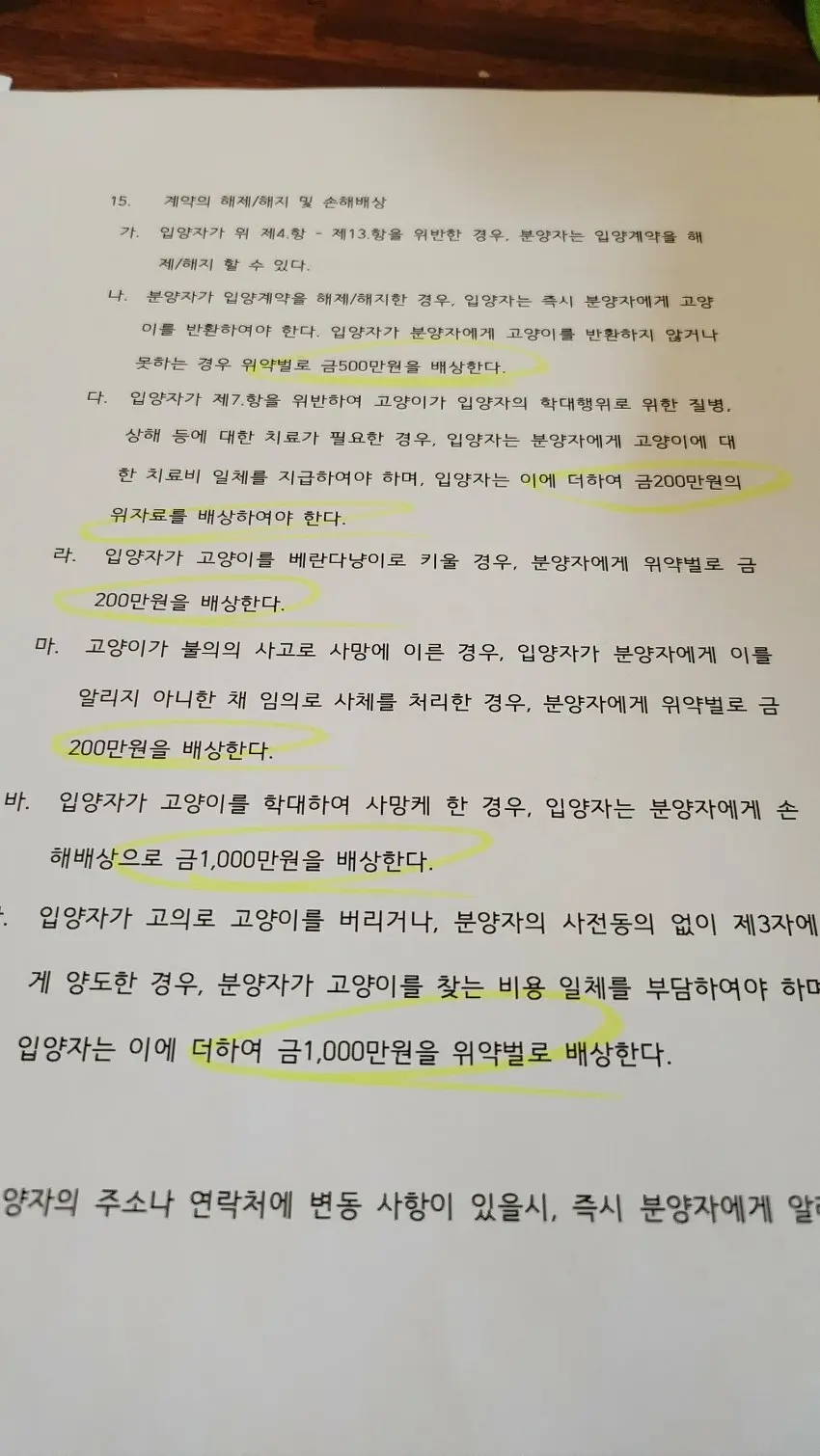 캣맘에게서 고양이 입양할때 쓰는 계약서