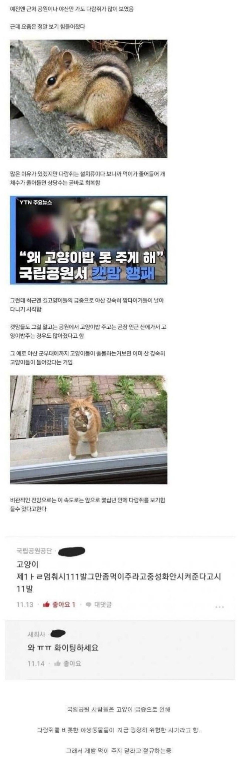 다람쥐가 사라진 야산...