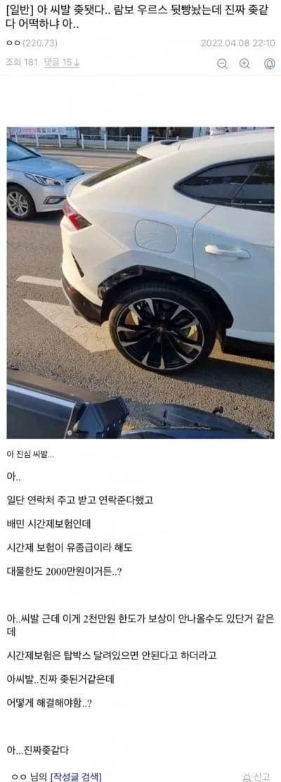 배민 시간제 보험 람보르기니 뒷빵 후기