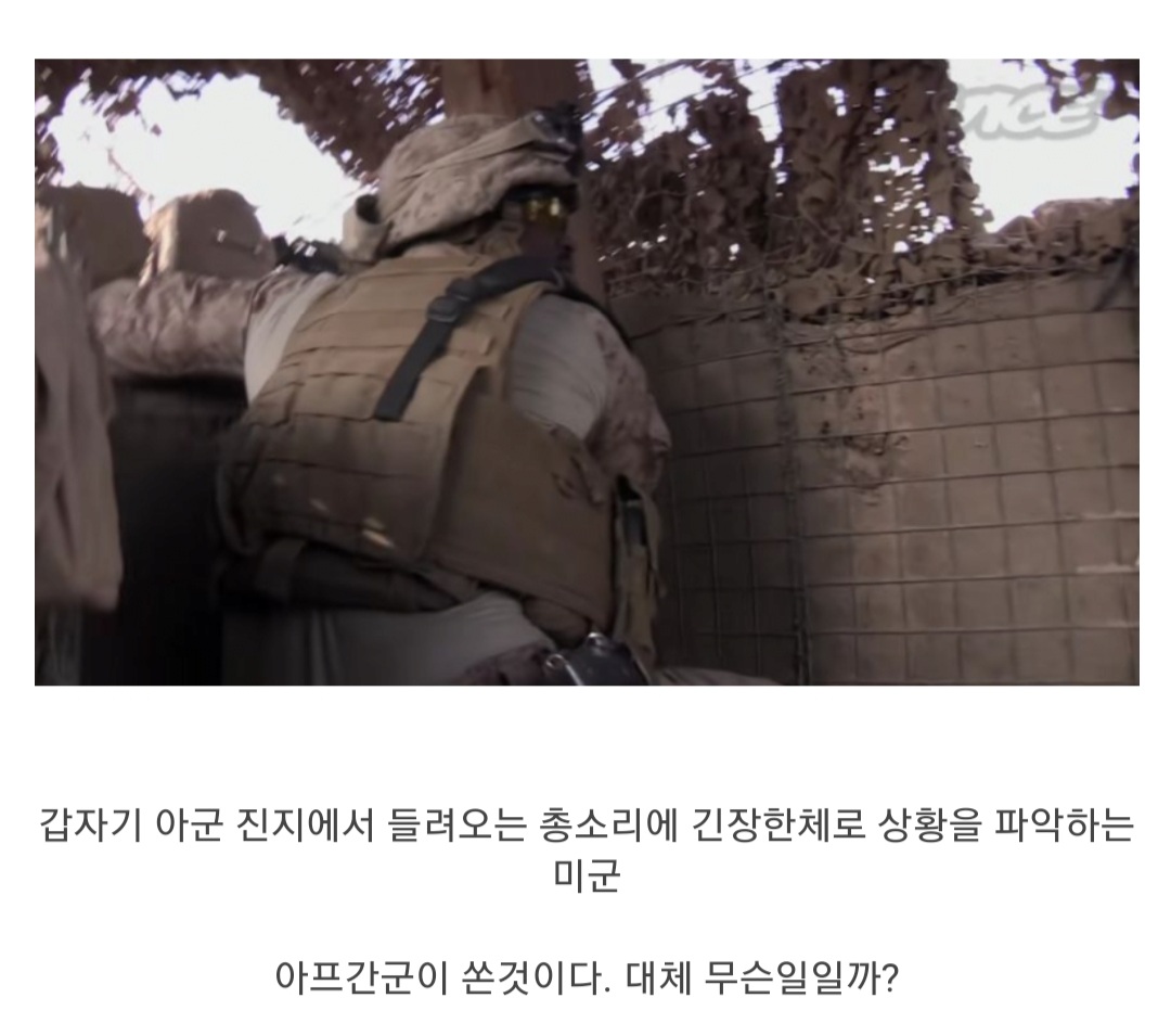 미군이 철수 하자마자 탈레반에게 털린 이유