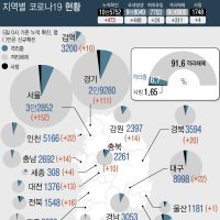 [기타] 서울 서대문구 교회發 집단감염..