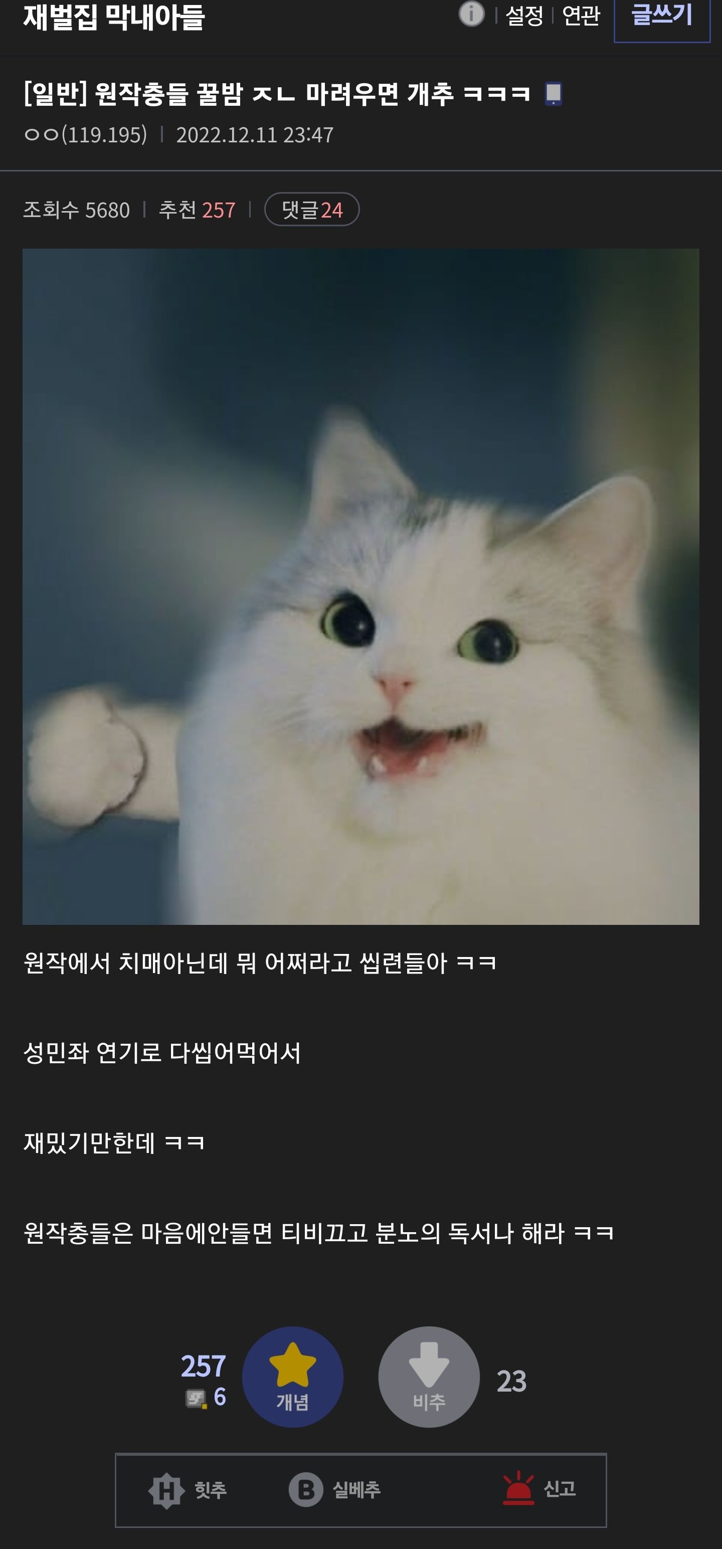 스포) 재벌집 갤러리 근황