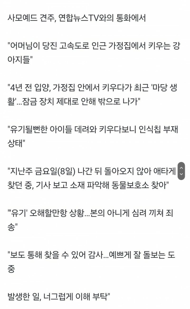 '고속도로 사모예드' 견주 찾았다