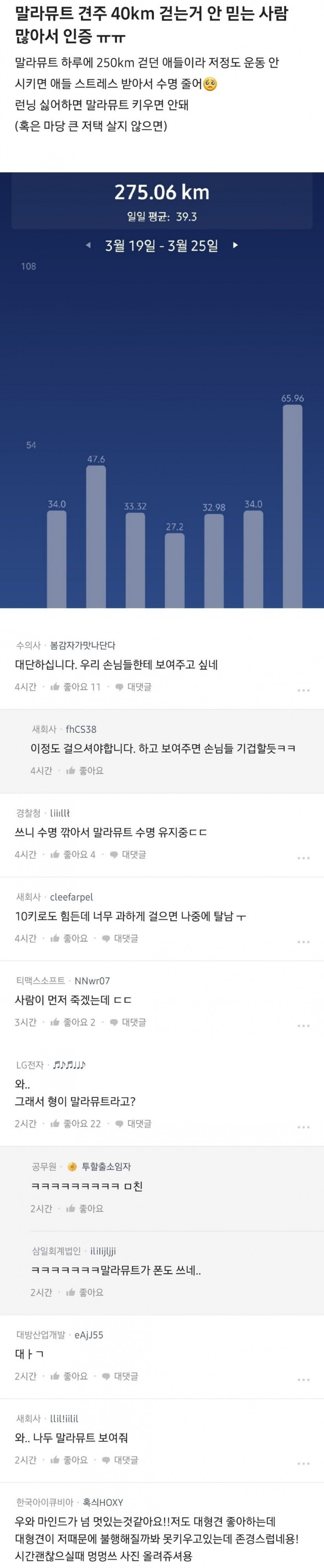 하루 40킬로미터 산책