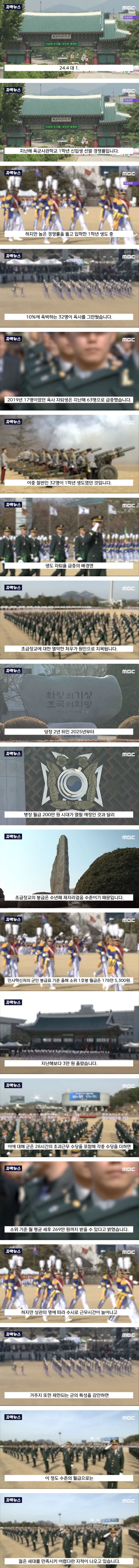 육군사관학교 자퇴율