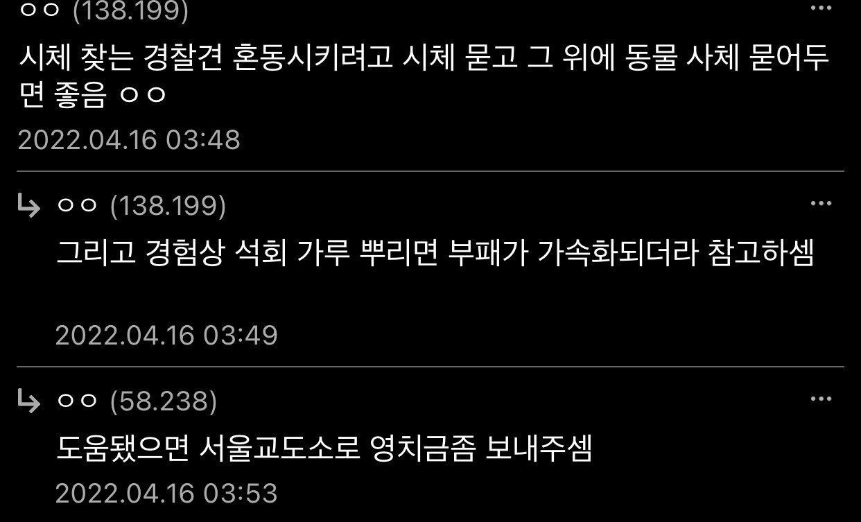 시체 묻을 때 꿀팁