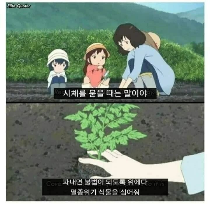 시체 묻을 때 꿀팁