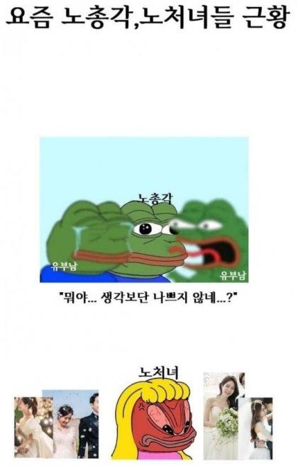 요즘 노총각 노처녀 근황