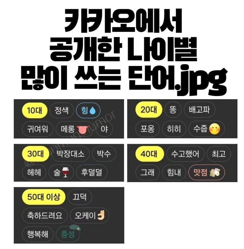 카카오에서 공개한 나이별 많이 쓰는 단어