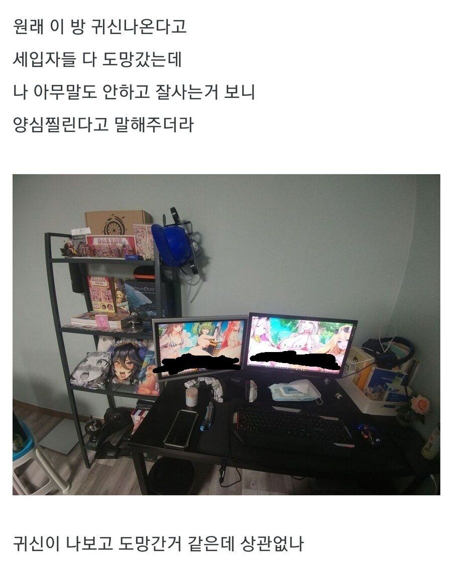 사실 귀신 나오는 집이였다고 양심고백한 집주인....JPG