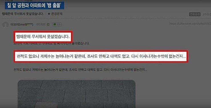 독사와 공존하는 아파트