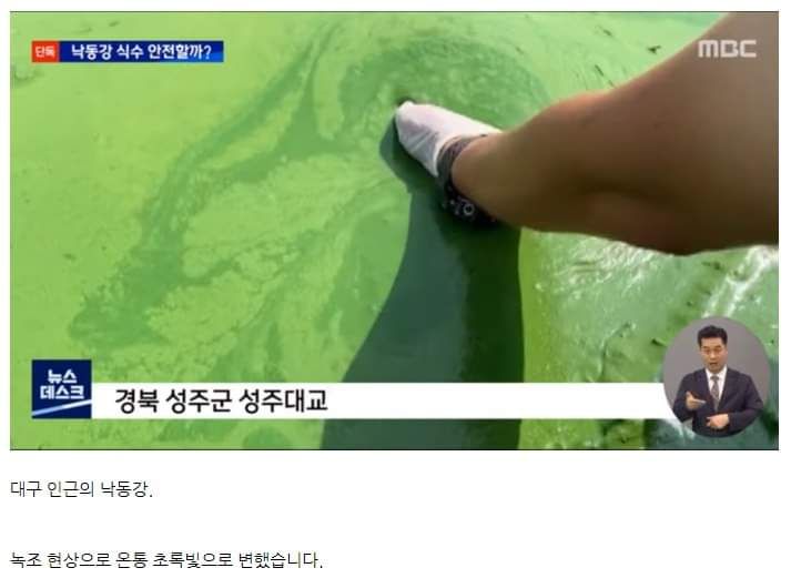 대구 수돗물 독성물질 검출