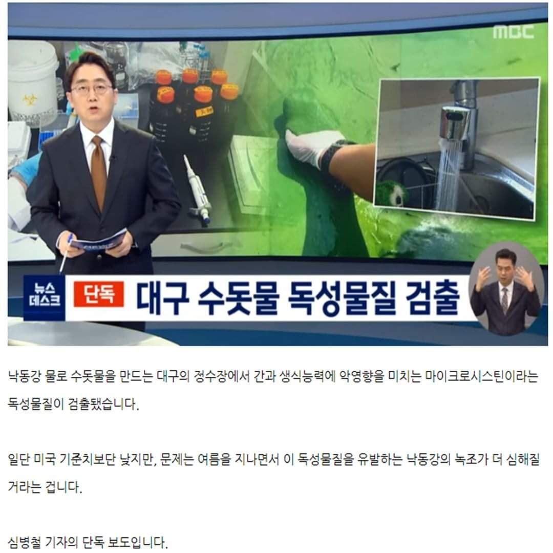 대구 수돗물 독성물질 검출