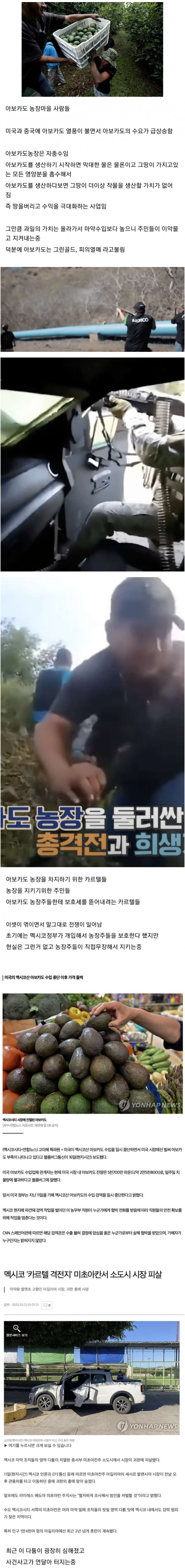 멕시코 카르텔의 유일한 적수