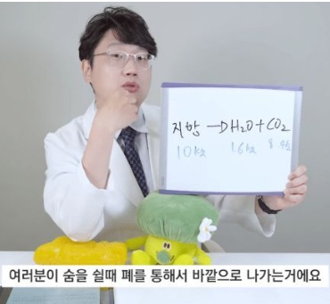 모르는 사람 많은 지방 빠지는 원리