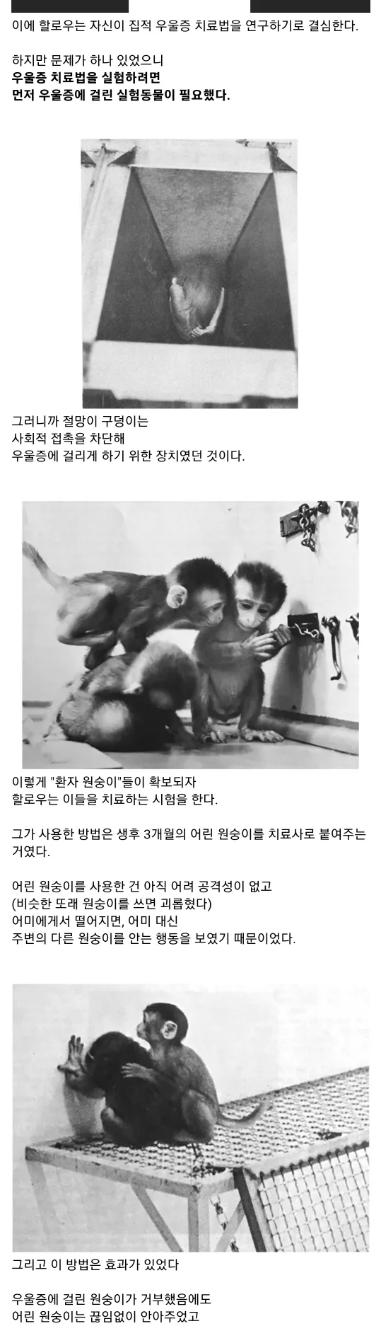 아기원숭이 절망의 구덩이 실험