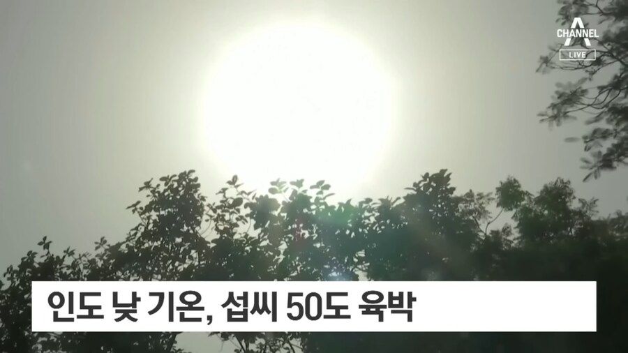 인도 날씨 낮 기온 50도