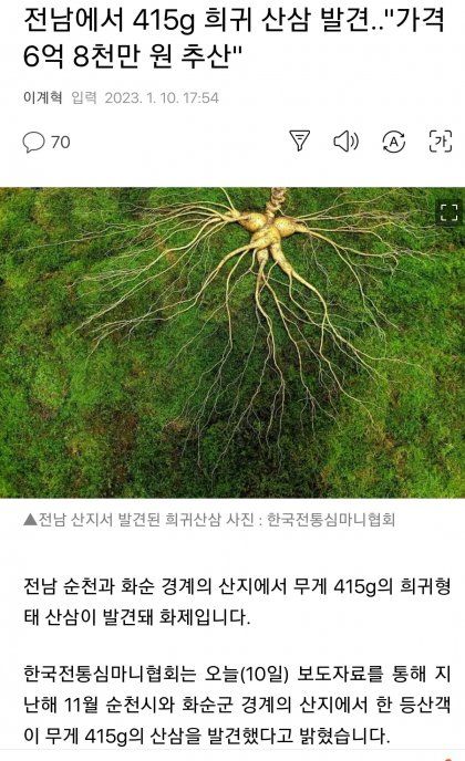 이번에 발견된 6억 8천만 원짜리 희귀한 산삼