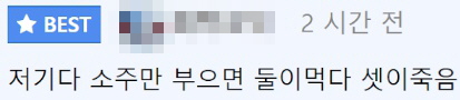 집에 들어온 장수말벌떼 제압한 방법