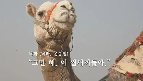 몽골의 잔인한 풍습.