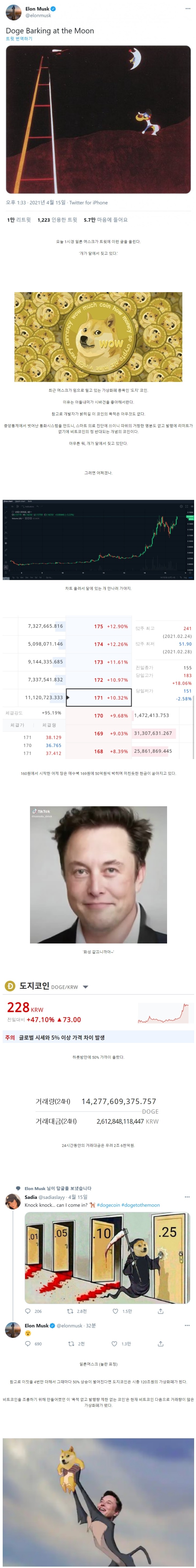 코인판이 다단계 온라인 도박장인 이유