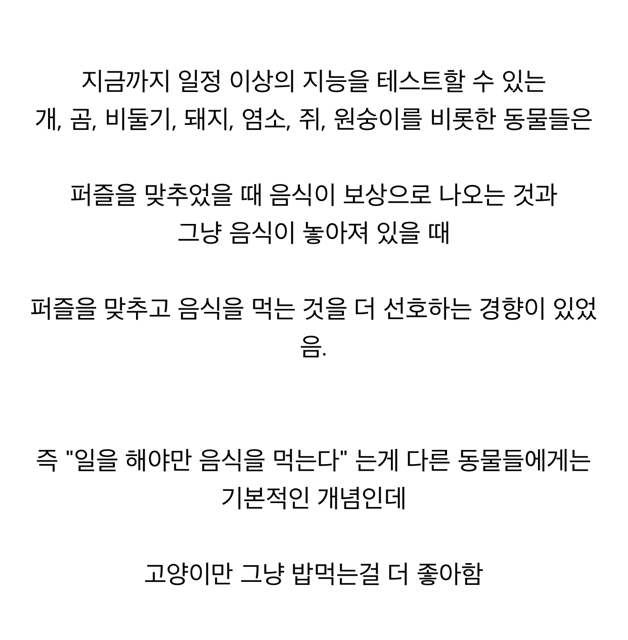 [펌] 최근에 발표된 고양이에 대한 연구