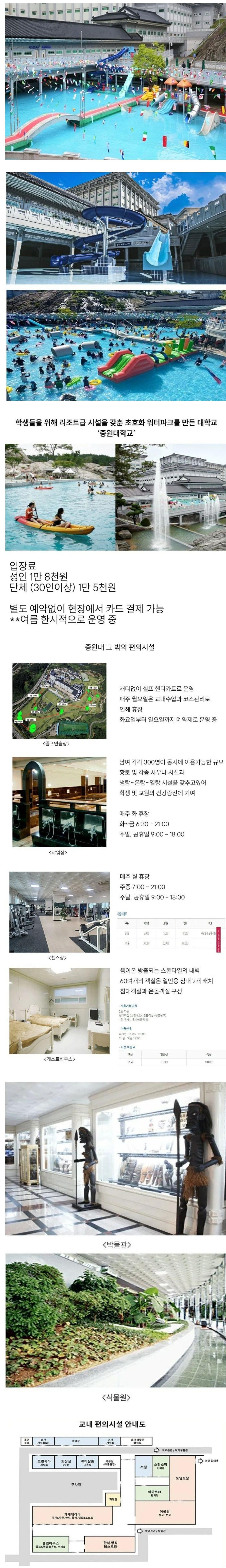 요즘 대학교 근황