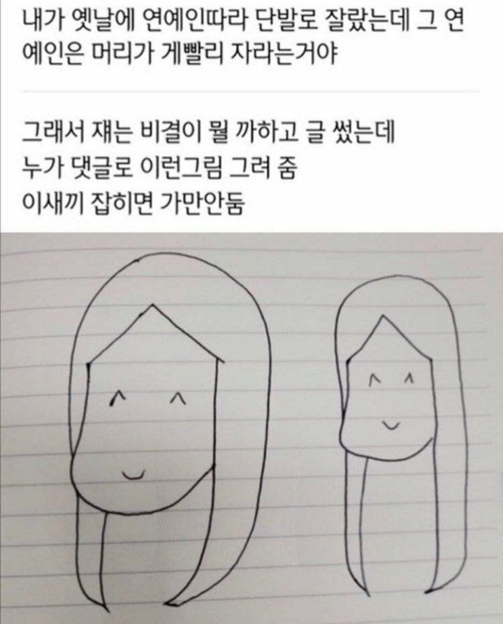 연예인 머리가 빨리 자라는 이유