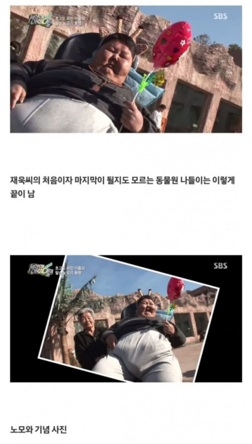 고전)초고도비만 아들과 팔순 노모의 동행