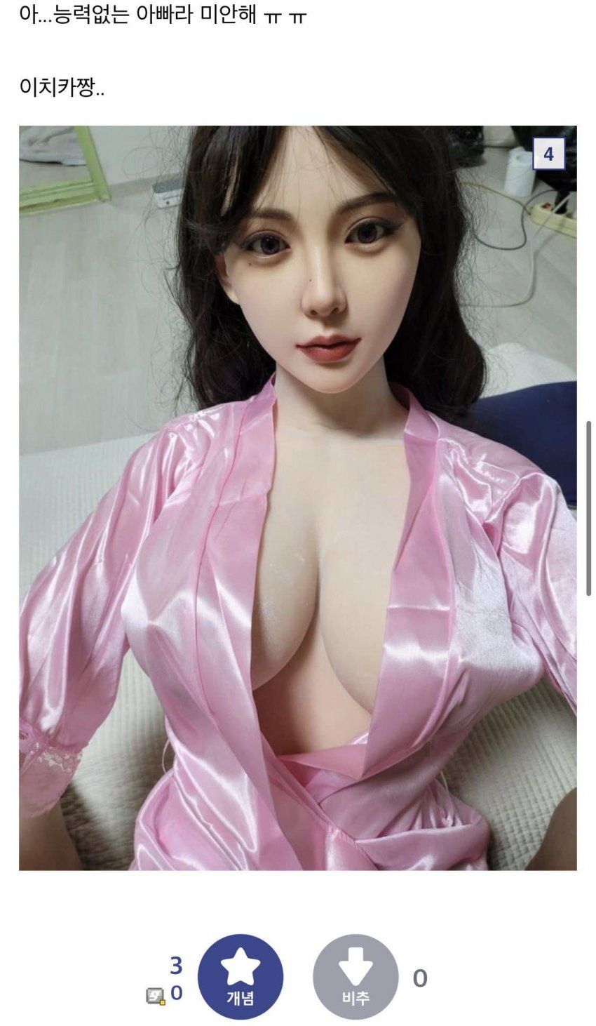 리얼돌 샀다가 엄마한테 들킨 디시인