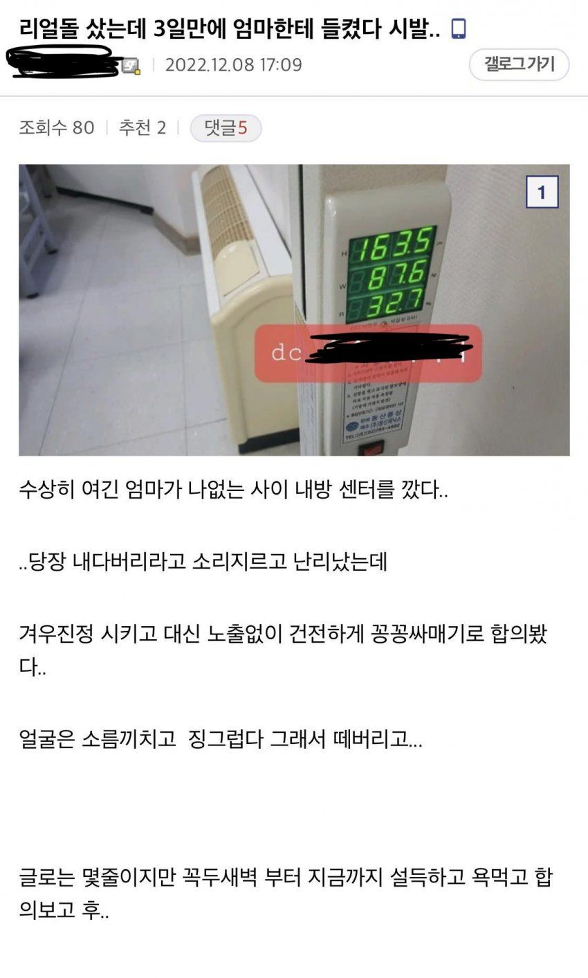 리얼돌 샀다가 엄마한테 들킨 디시인