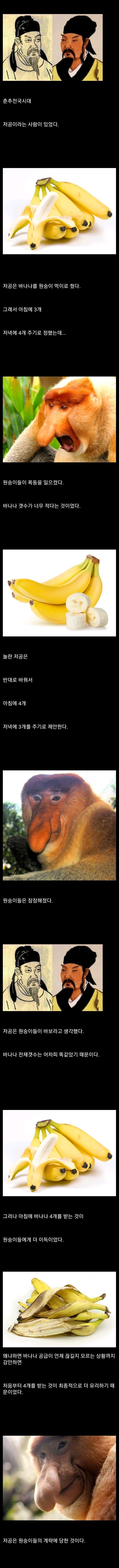 조삼모사 원숭이의 역습