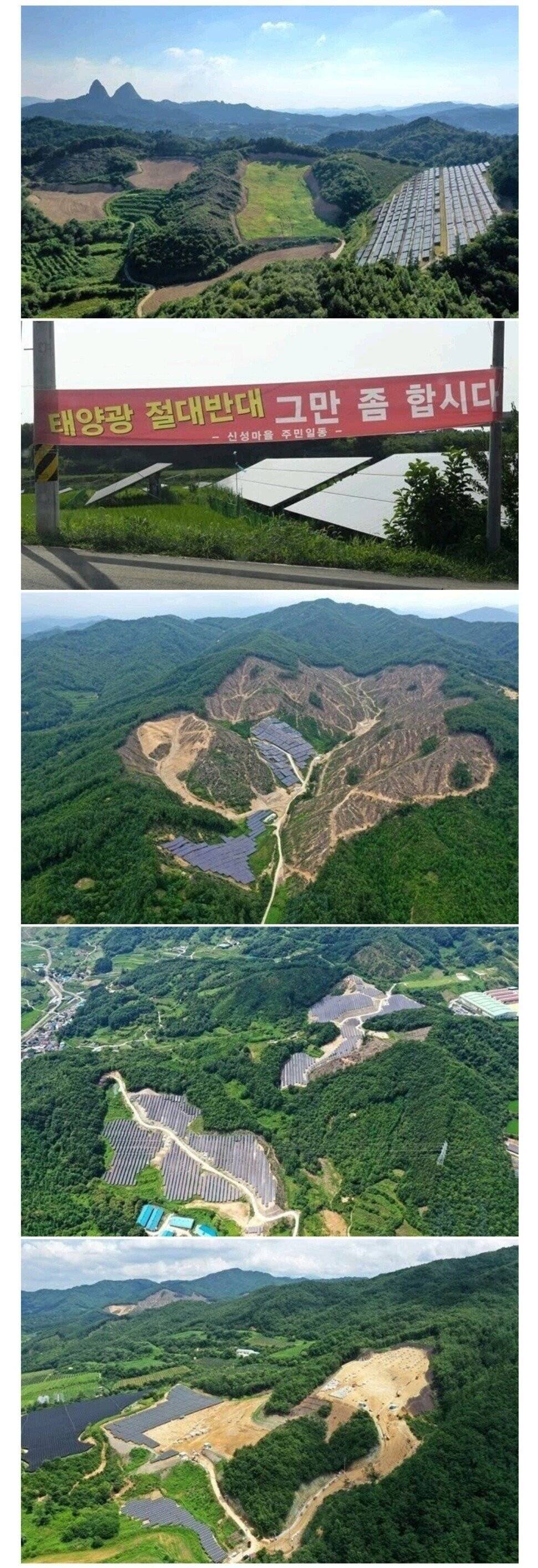 한국의 푸른산