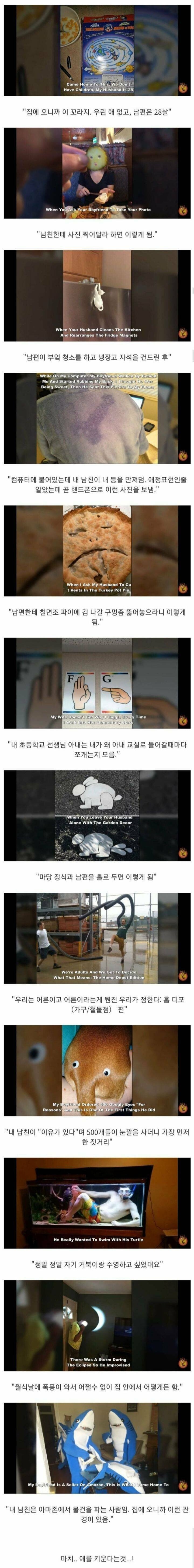 남자와 같이 사는 여자들의 후기