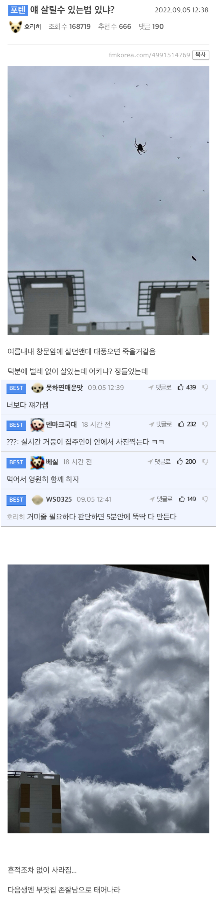 여름을 함께한 동지를 잃어버린 사람