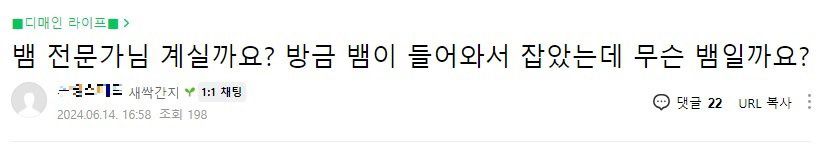 뱀 맨손으로 잡은 상남자